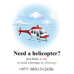 Need a helicopter